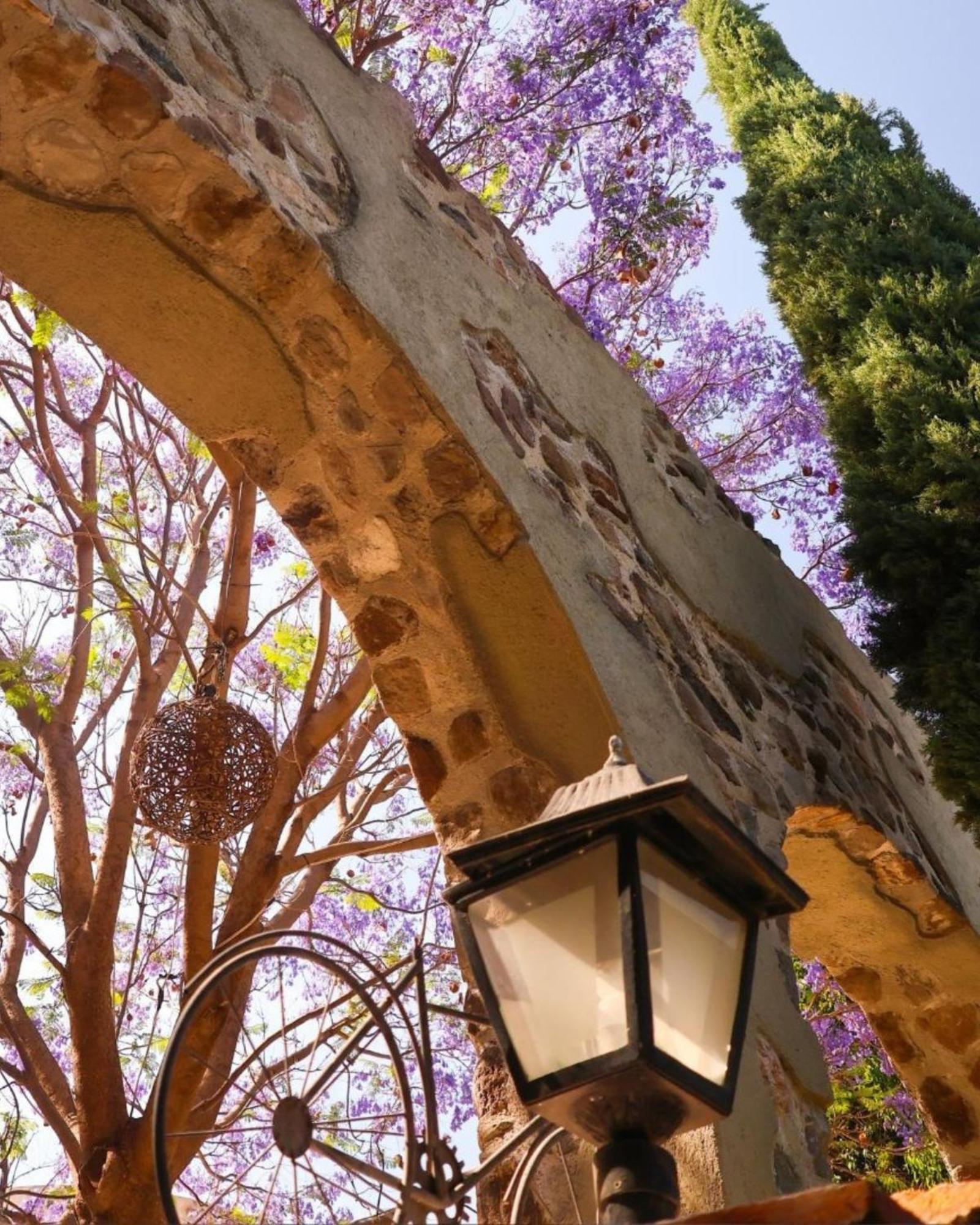 Suites Campestres Montebello Bernal Εξωτερικό φωτογραφία