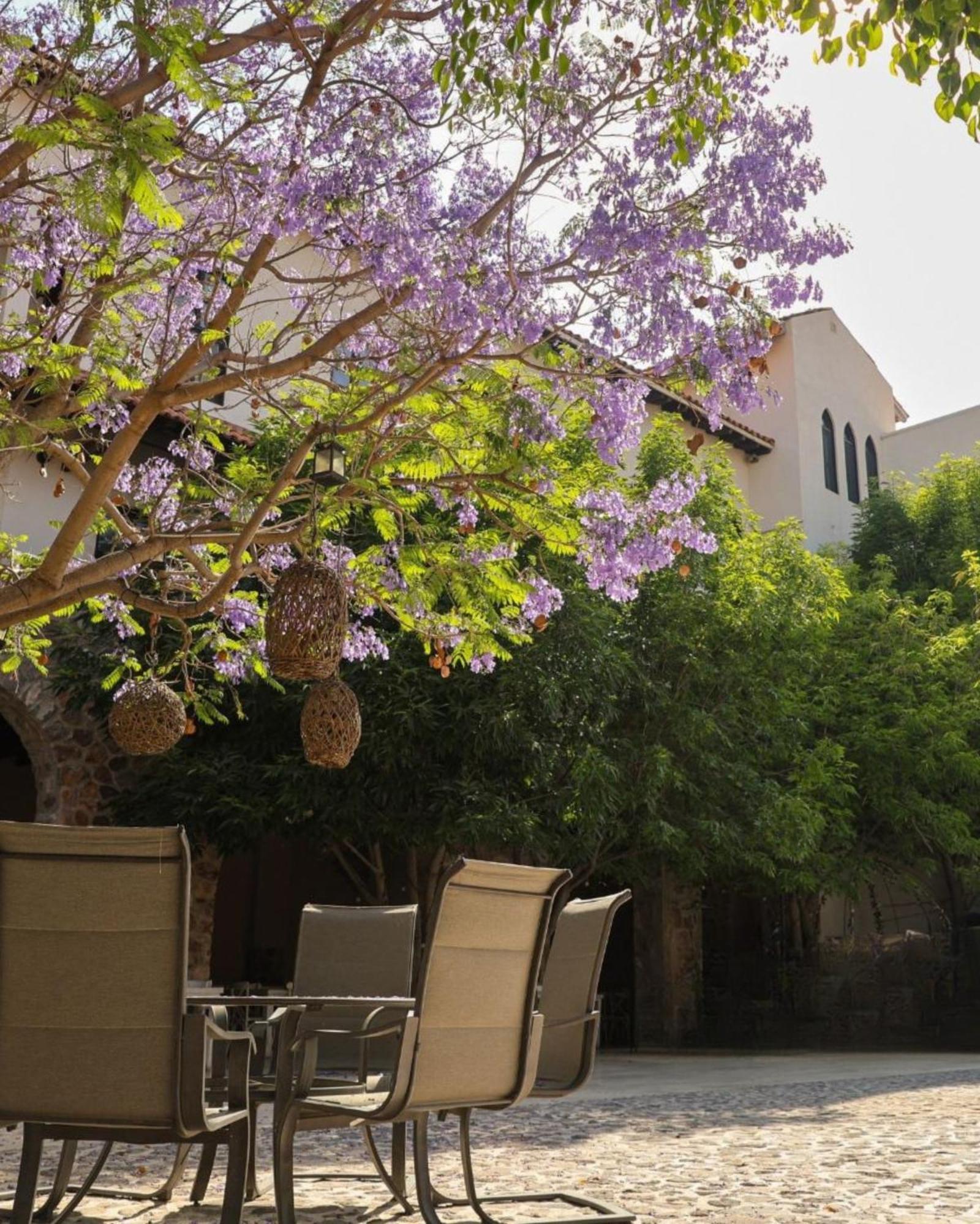Suites Campestres Montebello Bernal Εξωτερικό φωτογραφία